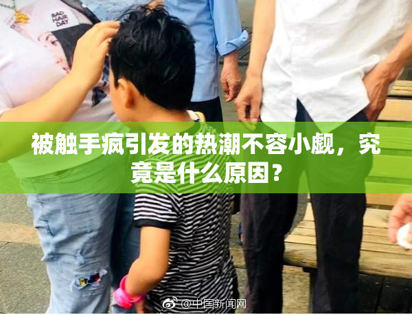 被触手疯引发的热潮不容小觑，究竟是什么原因？