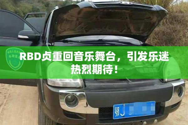 RBD贞重回音乐舞台，引发乐迷热烈期待！