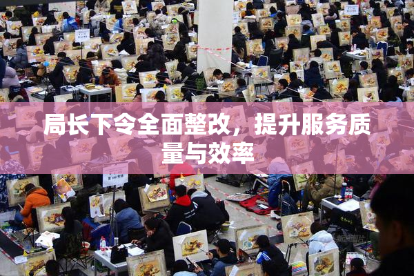 局长下令全面整改，提升服务质量与效率