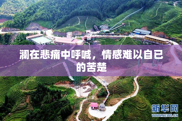 澜在悲痛中呼喊，情感难以自已的苦楚