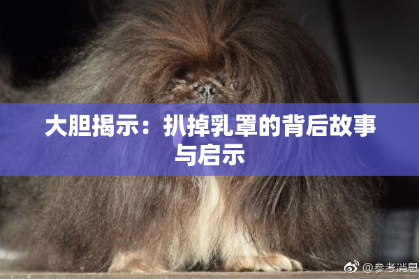 大胆揭示：扒掉乳罩的背后故事与启示