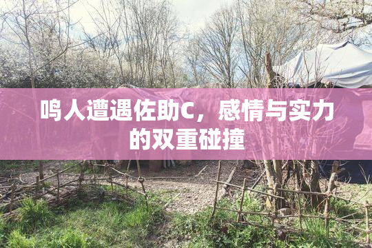 鸣人遭遇佐助C，感情与实力的双重碰撞