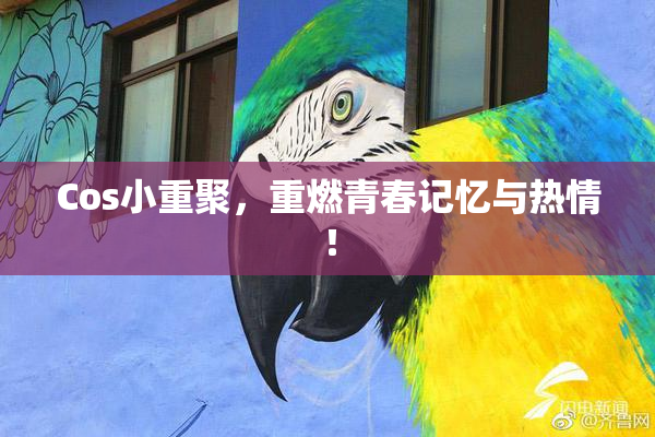 Cos小重聚，重燃青春记忆与热情！