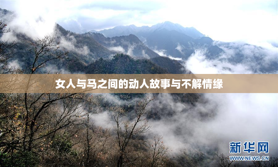 女人与马之间的动人故事与不解情缘