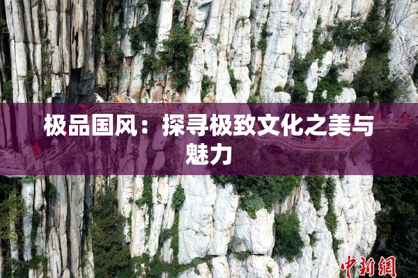 极品国风：探寻极致文化之美与魅力