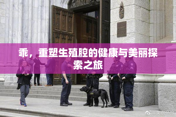 乖，重塑生殖腔的健康与美丽探索之旅