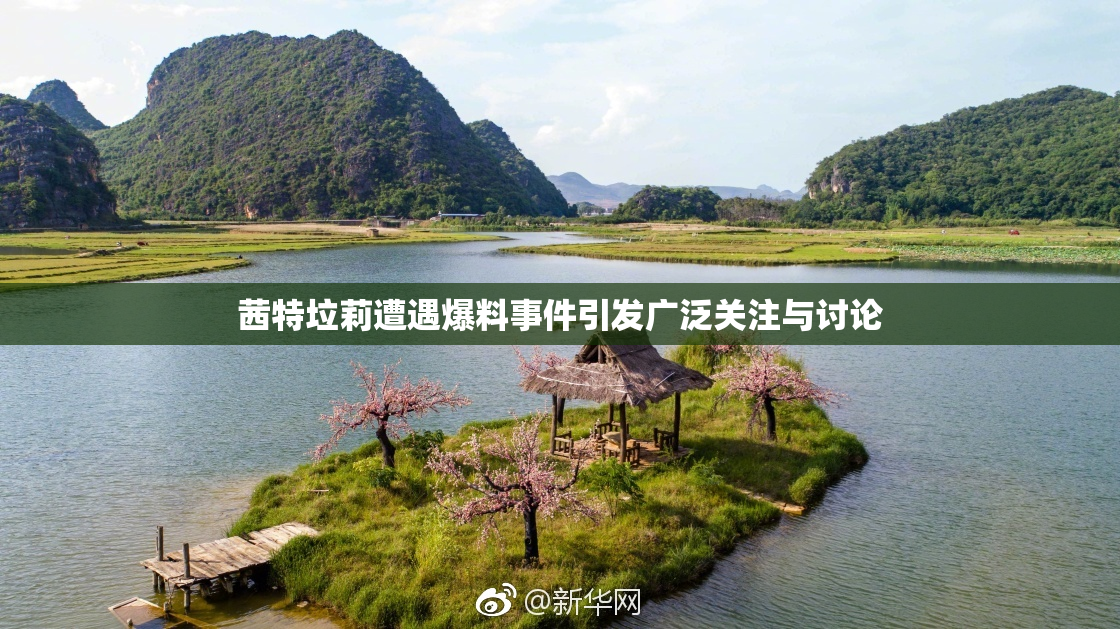 茜特垃莉遭遇爆料事件引发广泛关注与讨论