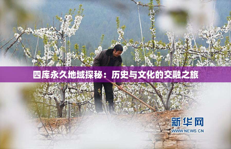 四库永久地域探秘：历史与文化的交融之旅