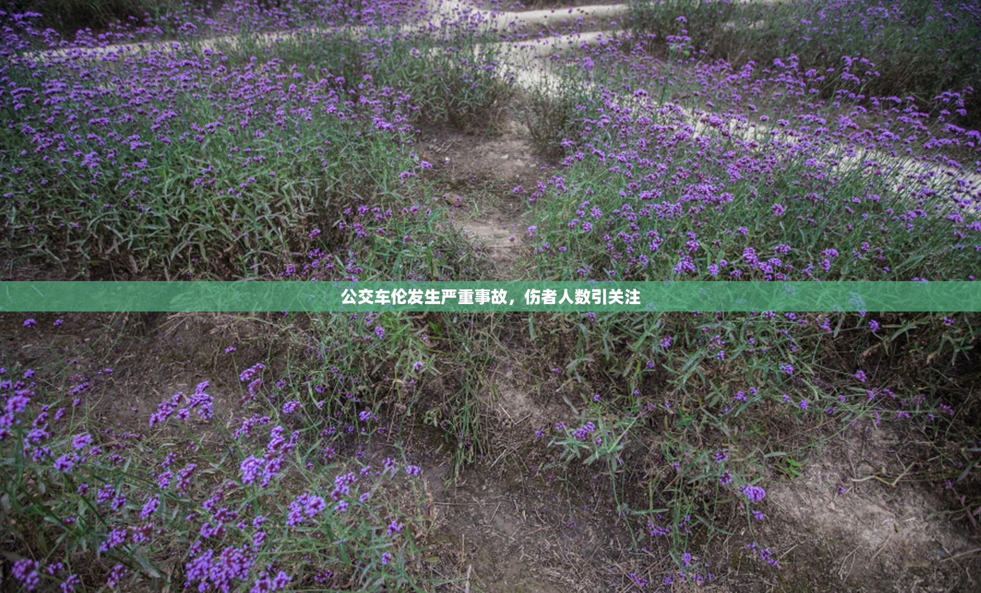 公交车伦发生严重事故，伤者人数引关注
