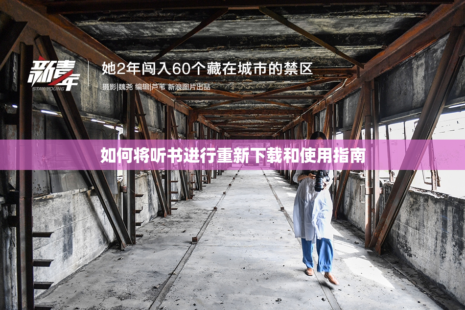 如何将听书进行重新下载和使用指南