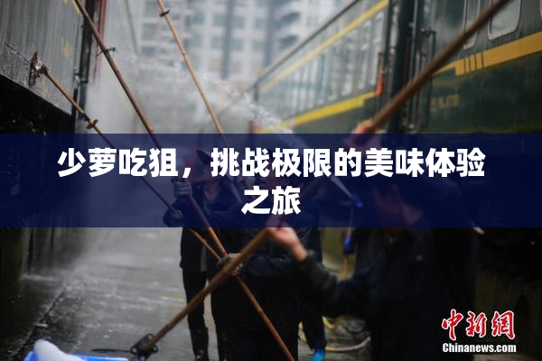 少萝吃狙，挑战极限的美味体验之旅