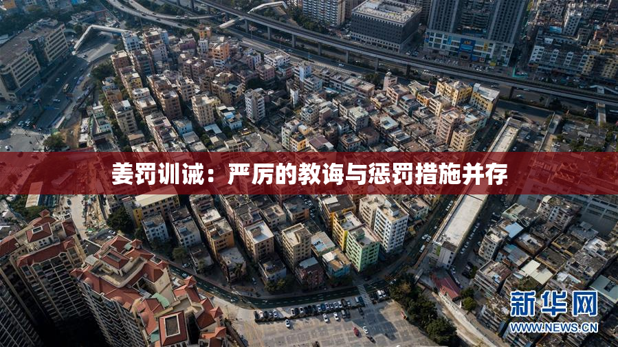 姜罚训诫：严厉的教诲与惩罚措施并存