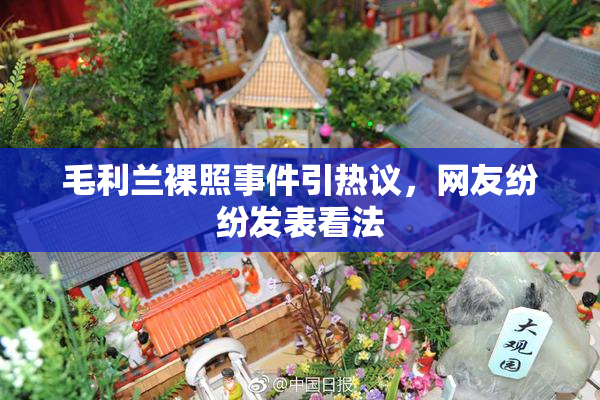 毛利兰裸照事件引热议，网友纷纷发表看法
