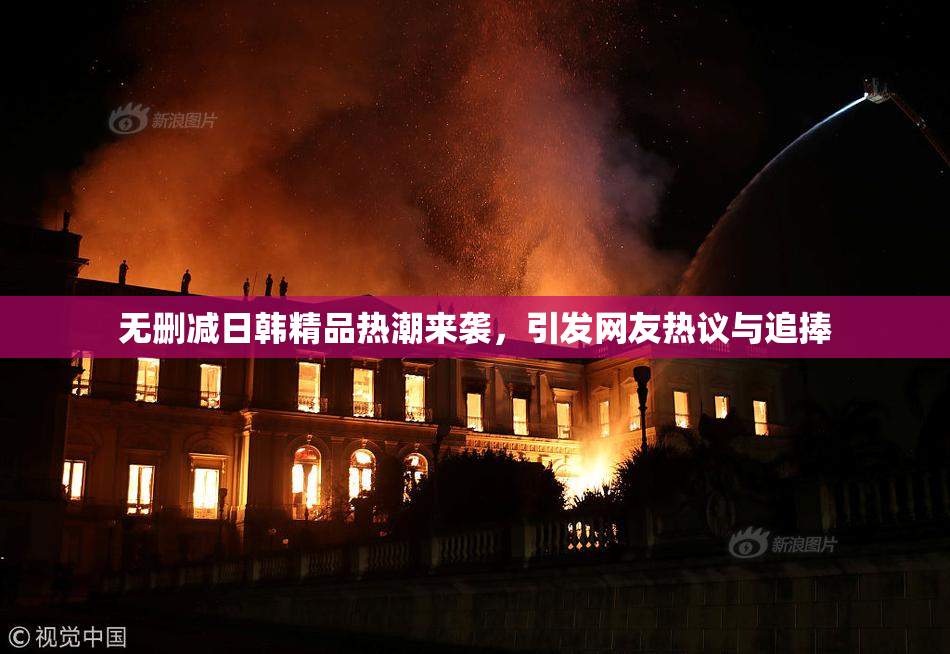 无删减日韩精品热潮来袭，引发网友热议与追捧