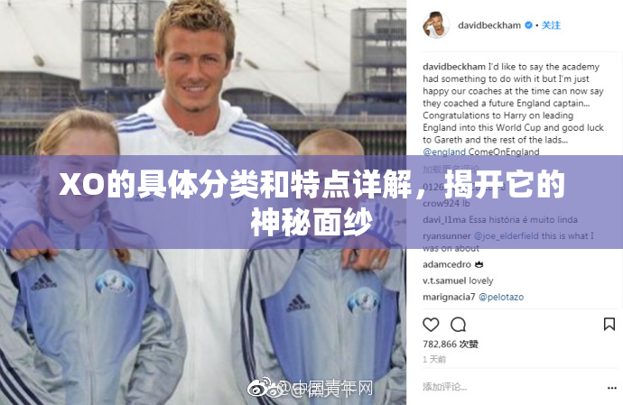 XO的具体分类和特点详解，揭开它的神秘面纱