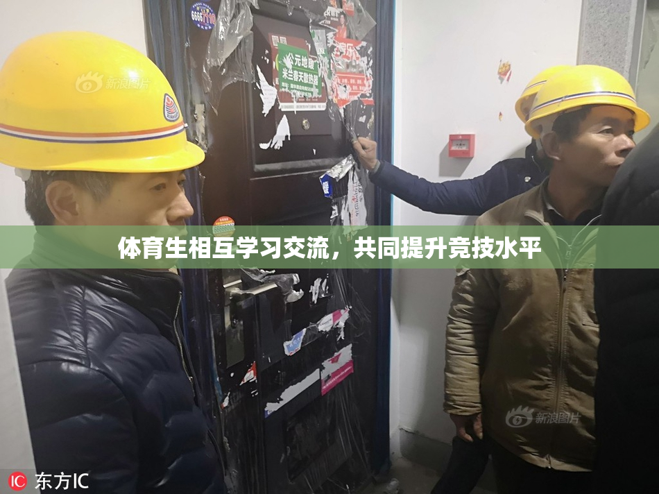 体育生相互学习交流，共同提升竞技水平