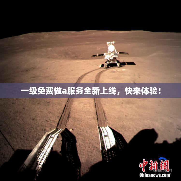 一级免费做a服务全新上线，快来体验！