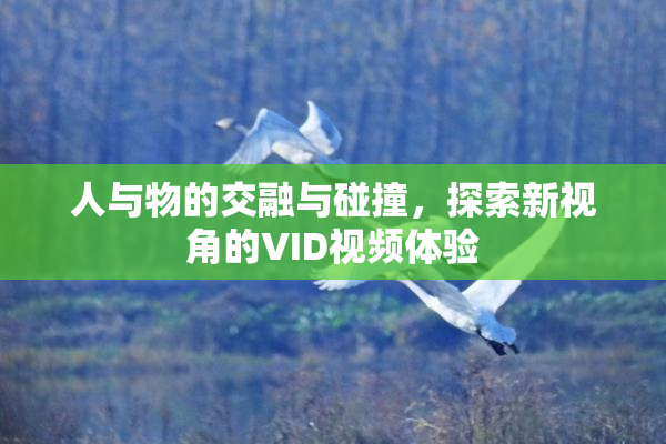 人与物的交融与碰撞，探索新视角的VID视频体验