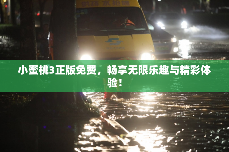 小蜜桃3正版免费，畅享无限乐趣与精彩体验！