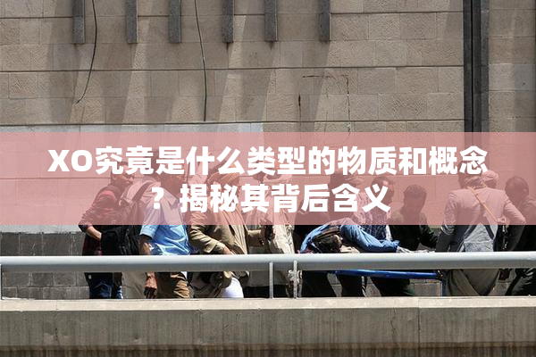 XO究竟是什么类型的物质和概念？揭秘其背后含义