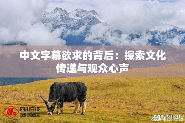 中文字幕欲求的背后：探索文化传递与观众心声