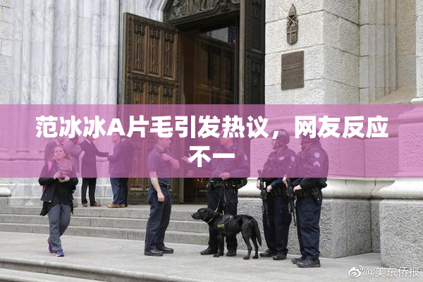 范冰冰A片毛引发热议，网友反应不一