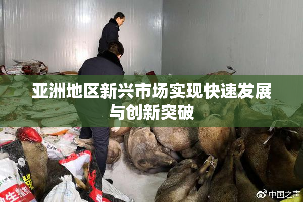 亚洲地区新兴市场实现快速发展与创新突破