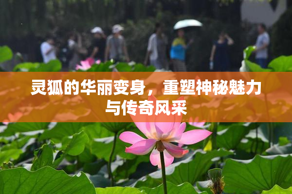 灵狐的华丽变身，重塑神秘魅力与传奇风采