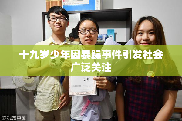 十九岁少年因暴躁事件引发社会广泛关注