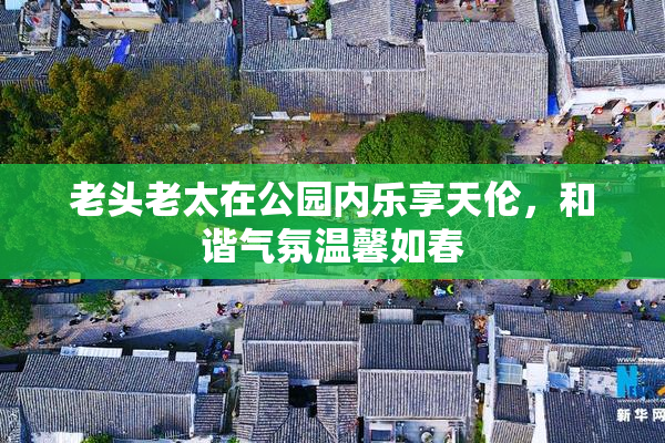 老头老太在公园内乐享天伦，和谐气氛温馨如春