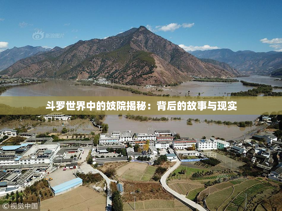 斗罗世界中的妓院揭秘：背后的故事与现实