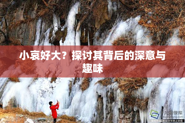 小哀好大？探讨其背后的深意与趣味
