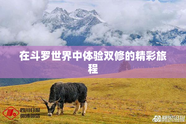 在斗罗世界中体验双修的精彩旅程