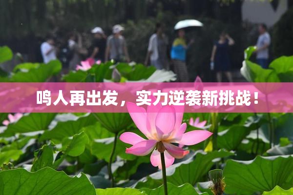 鸣人再出发，实力逆袭新挑战！