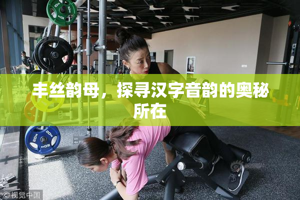 丰丝韵母，探寻汉字音韵的奥秘所在