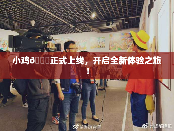 小鸡🐔正式上线，开启全新体验之旅！