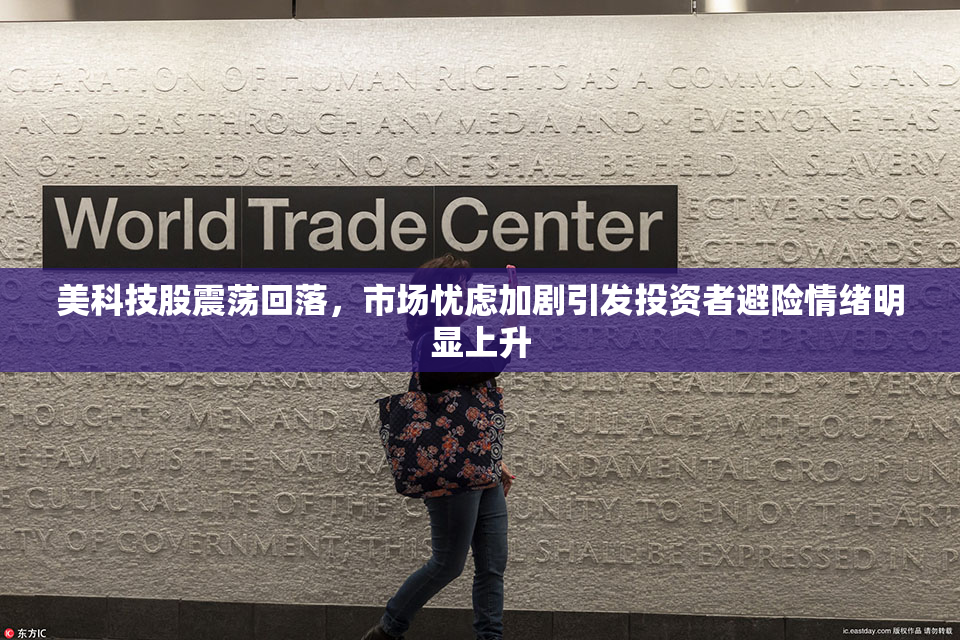 美科技股震荡回落，市场忧虑加剧引发投资者避险情绪明显上升