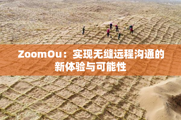 ZoomOu：实现无缝远程沟通的新体验与可能性