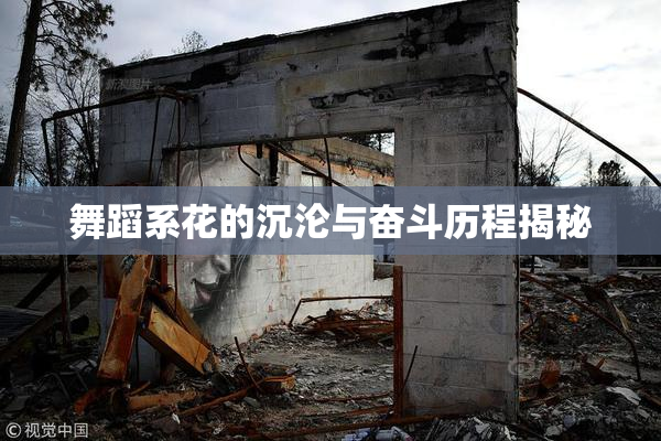 舞蹈系花的沉沦与奋斗历程揭秘
