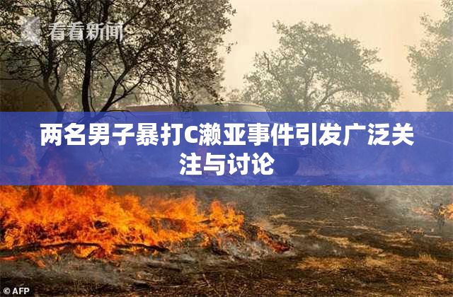 两名男子暴打C濑亚事件引发广泛关注与讨论