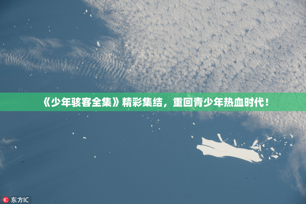 《少年骇客全集》精彩集结，重回青少年热血时代！