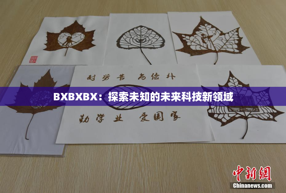 BXBXBX：探索未知的未来科技新领域