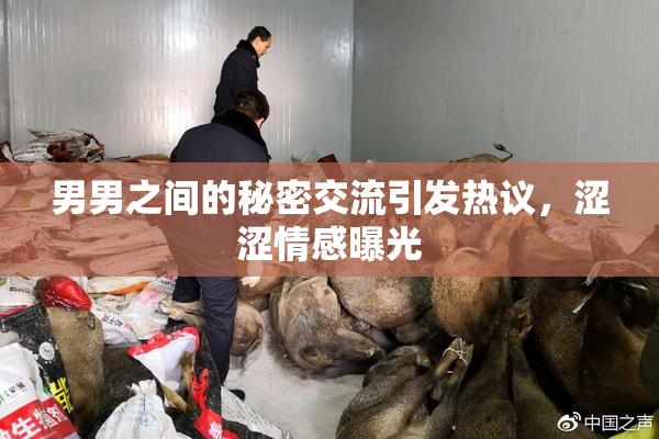 男男之间的秘密交流引发热议，涩涩情感曝光