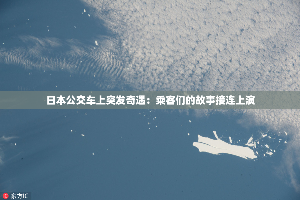 日本公交车上突发奇遇：乘客们的故事接连上演
