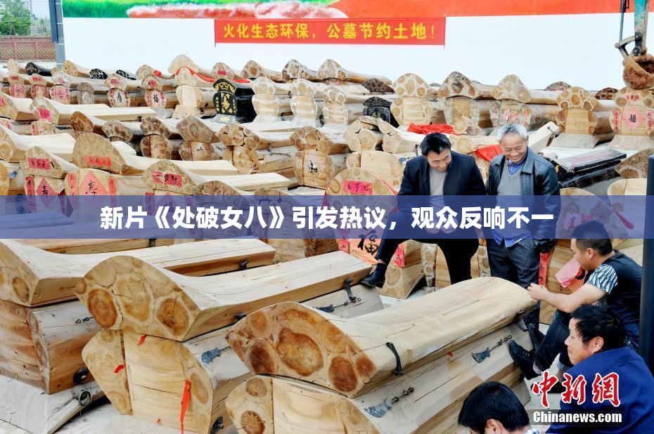 新片《处破女八》引发热议，观众反响不一