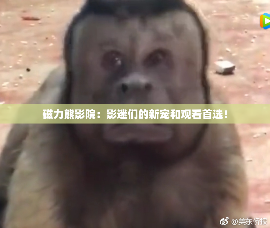 磁力熊影院：影迷们的新宠和观看首选！