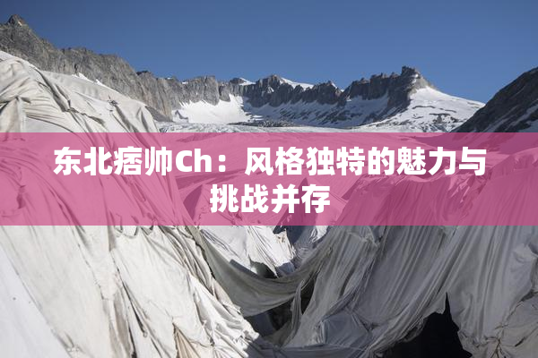 东北痞帅Ch：风格独特的魅力与挑战并存