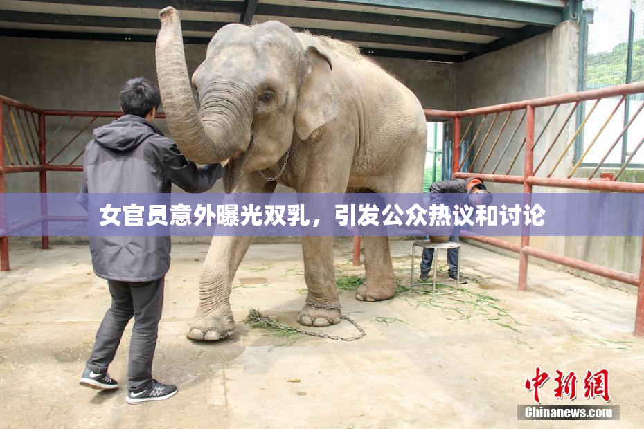 女官员意外曝光双乳，引发公众热议和讨论