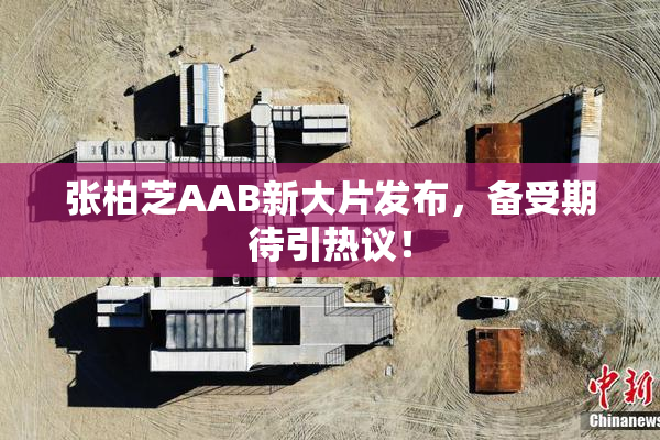 张柏芝AAB新大片发布，备受期待引热议！