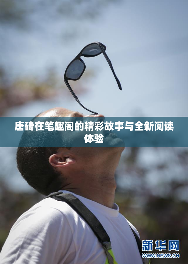 唐砖在笔趣阁的精彩故事与全新阅读体验